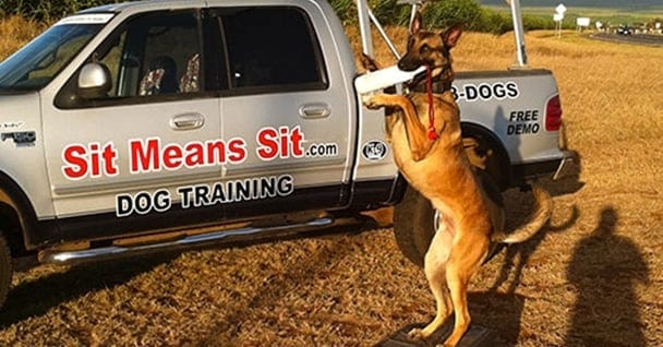 Advanced & Specialty Classes